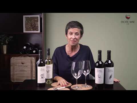 Wines of Portugal – Teaser Wines of Portugal - Teaser
