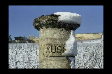 The beauty of French wine