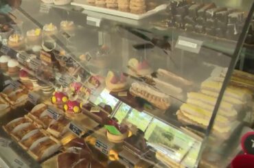 Dirty Dining: Inspector finds live and dead roaches at Miami's Buena Vista Deli