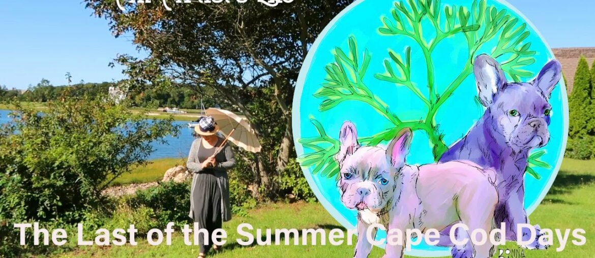 A Summer Day on Cape Cod | Sea Side Gardens | Painting my French Bulldog Sketch | An Artist's Life