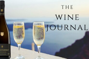 The Wine Journal- Philipponnat blanc de noir,France, (Only Red grape)