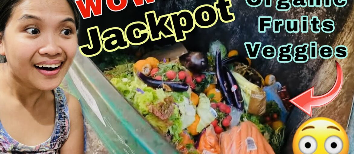 DUMPSTER DIVING FULL OF ORGANIC FRUITS AND VEGGIES UNBELIEVABLE TRASH DUMPSTER DIVING FULL OF ORGANIC FRUITS AND VEGGIES UNBELIEVABLE TRASH