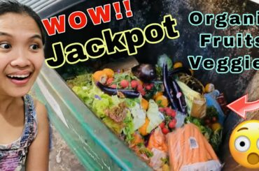 DUMPSTER DIVING FULL OF ORGANIC FRUITS AND VEGGIES UNBELIEVABLE TRASH