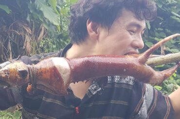 Cat meat: Wild cat, Eat wild cat meat, Trap the cat to eat meat, Small tiger meat - Survival Skills