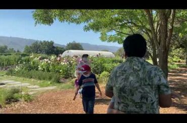 French Laundry resto in Napa