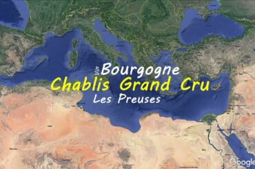 Chablis Grand Cru Les preuses  | French wine map | Wine study