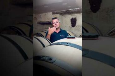 GREAT WINES OF THE WOLRD