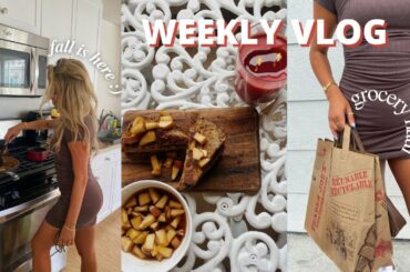 MINI WEEKLY VLOG | grocery haul, french toast recipe, & more!!