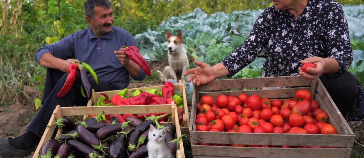 Preparation for Winter - Full Vitamin Salad, Vegetarian Salad
