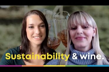 The 3 pillars of a sustainable wine business