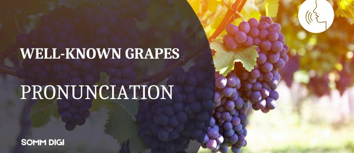WINE GRAPE VARIETIES - How to pronounce wine grapes?  Wine Pronunciation