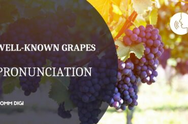 WINE GRAPE VARIETIES - How to pronounce wine grapes?  Wine Pronunciation