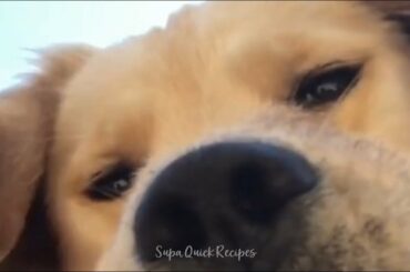 SQR - French Onion Stuffed Chicken