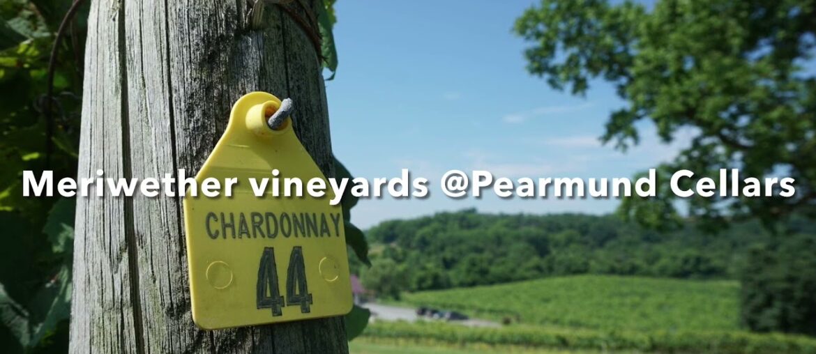Effingham Manor & Winery 2018 Chardonnay by Heidi Harrover