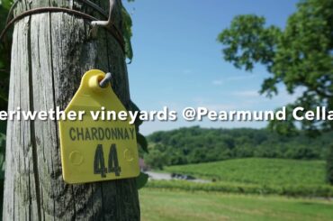 Effingham Manor & Winery 2018 Chardonnay by Heidi Harrover