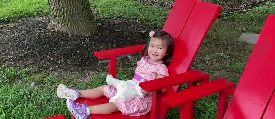 Tasting Classic French Dishes in a Farmhouse -- L'Auberge Chez Francois -- DC Area Getaway