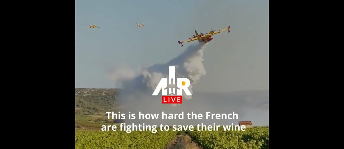 This is how hard the French are fighting to save their wine