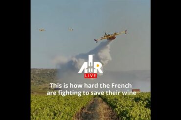 This is how hard the French are fighting to save their wine