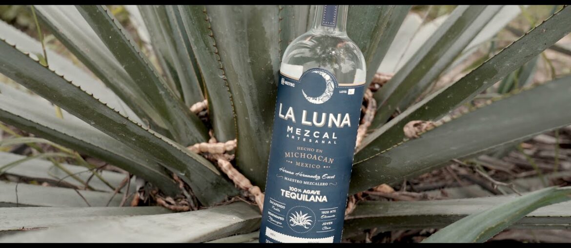 La Luna Mezcal - Relating to Wine & Terroir