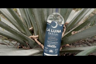 La Luna Mezcal - Relating to Wine & Terroir