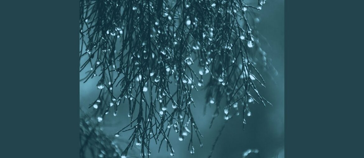 Contemporary Dinner Time