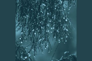 Contemporary Dinner Time