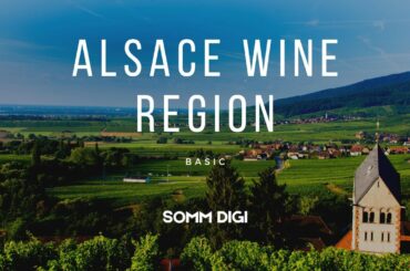 Wine Learning Videos, Alsace Wine - Wine Basics and Wine Pronunciation