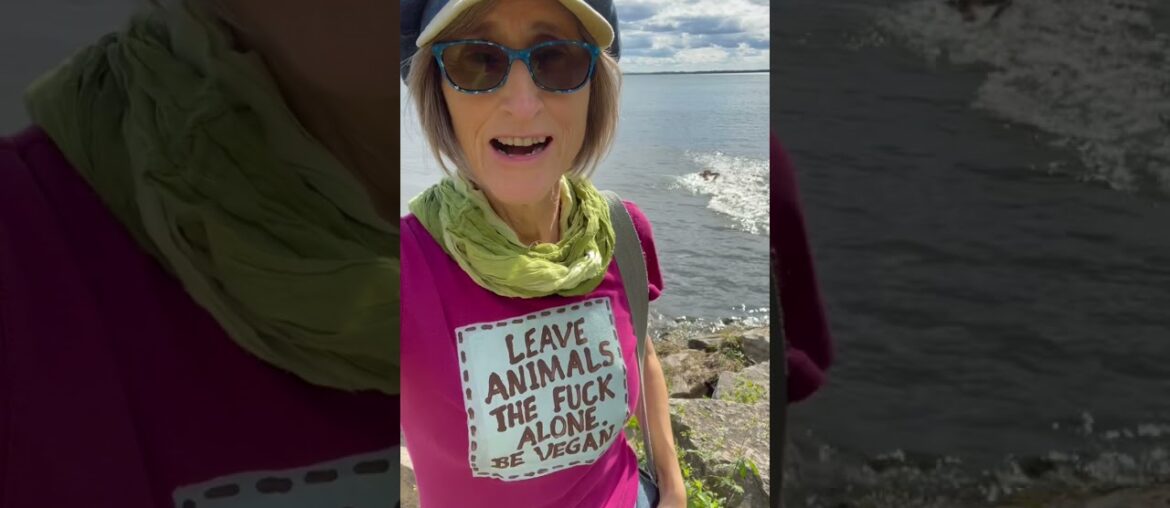 Thank you for the 51,000 signatures on the petition to have #BellaVeganDog taken away from me!