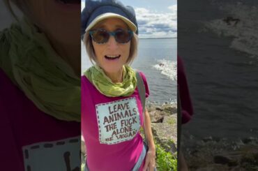 Thank you for the 51,000 signatures on the petition to have #BellaVeganDog taken away from me!