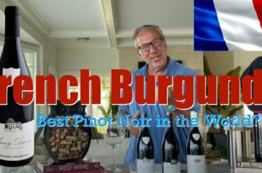 French Burgundy || Best Pinot Noir in the WORLD? || Decants with D