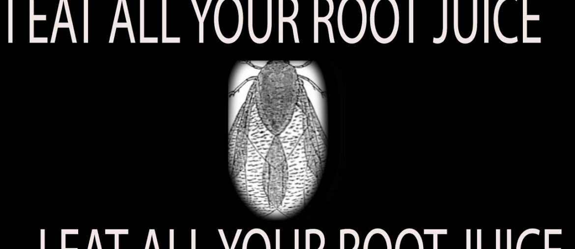 that time america almost killed wine * part 1 that time america almost killed wine * part 1