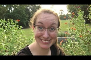 Sow the Seed | September Garden 2021 zone 8a