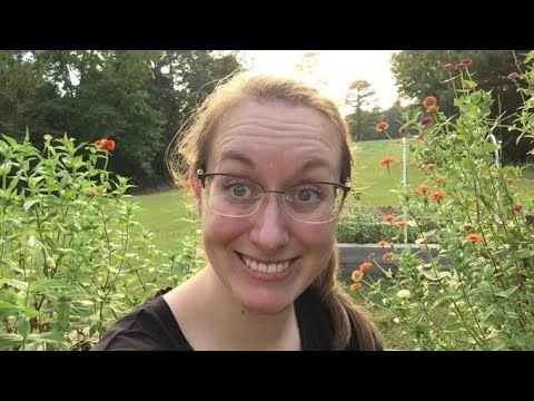 Sow the Seed | September Garden 2021 zone 8a Sow the Seed | September Garden 2021 zone 8a