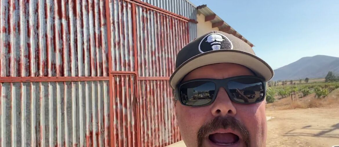 Crushing Grapes and Making Wine