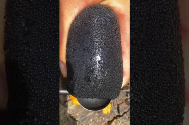 Eating only French food for the day! #shorts #food #streetfood