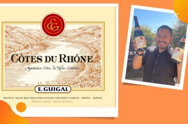 E. Guigal: The Story & Wines of this Top RHONE Producer!