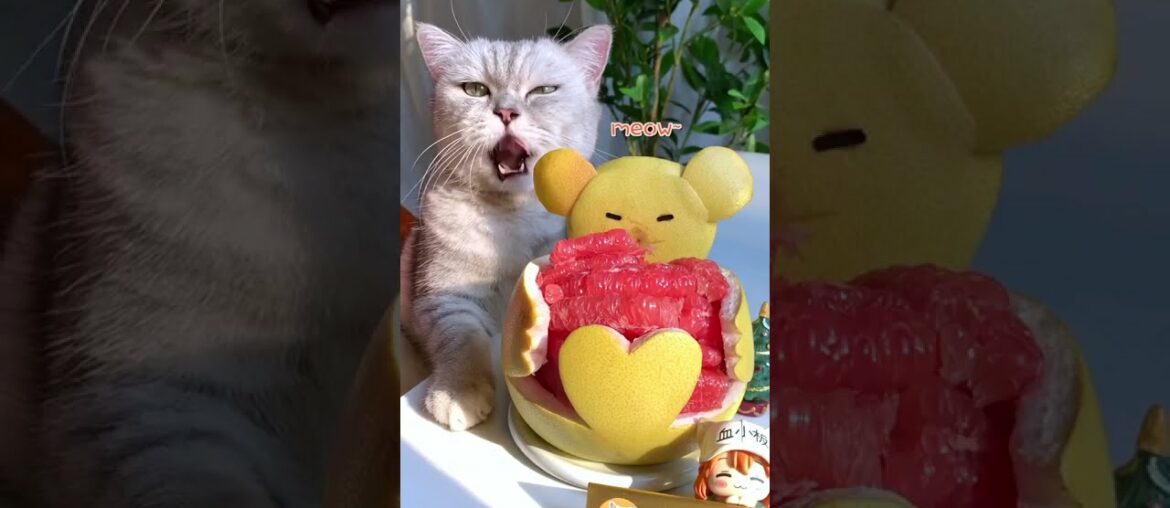 How to eat Garpe Fruit | Grape Fruit kaise ka juice kaise banate | Grape Fruit Candy | #shorts