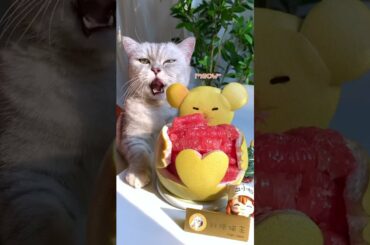 How to eat Garpe Fruit | Grape Fruit kaise ka juice kaise banate | Grape Fruit Candy | #shorts