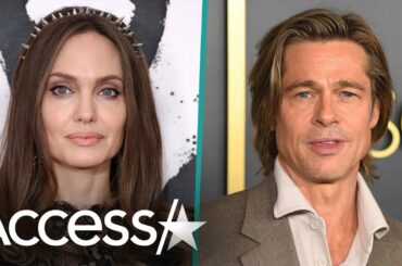 Angelina Jolie Sued By Brad Pitt For Trying To Sell Shares Of Their Winery (Report)