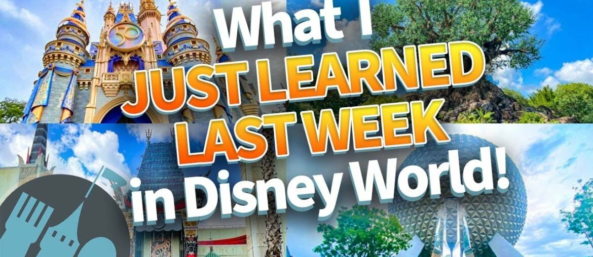 I Just Went to Disney World and Here’s What I Learned I Just Went to Disney World and Here’s What I Learned