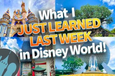 I Just Went to Disney World and Here’s What I Learned