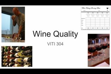 5  Wine Quality