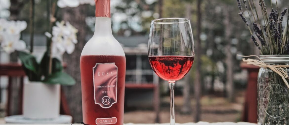 MY IDEAL LIFE | Sipping On Some Wines From All Over The World | Simply Hadassah