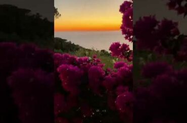 French restaurant view vlog