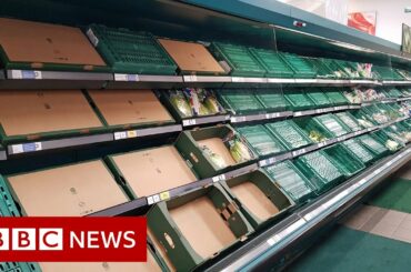 Is Brexit causing food and medicine supply problems in the UK? - BBC News