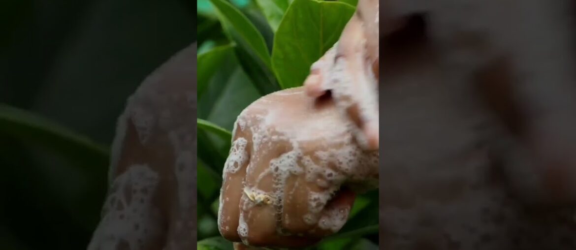 A quick fun reel withe Pure Handmade French Rose Bar #eeyalcare #handmadesoaps