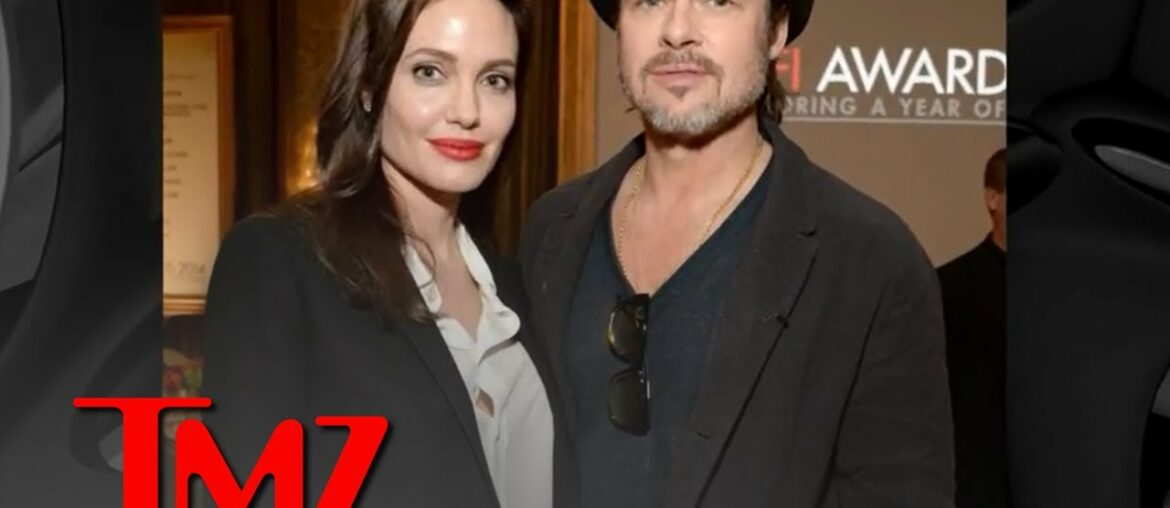 Angelina Jolie Cleared to Sell Her Stake in Wine Biz with Brad Pitt | TMZ TV