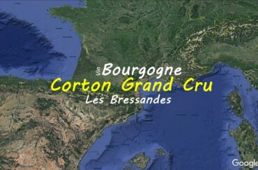 Corton Grand Cru Les Bressandes  | French wine map | Wine study