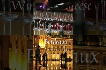 TOP 5 THINGS TO DO IN FRANCE | HUMMINGBIRD 365 #travel #shorts