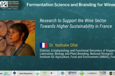 Research to support the wine sector towards higher sustainability in France by Dr. Nathalie Ollat